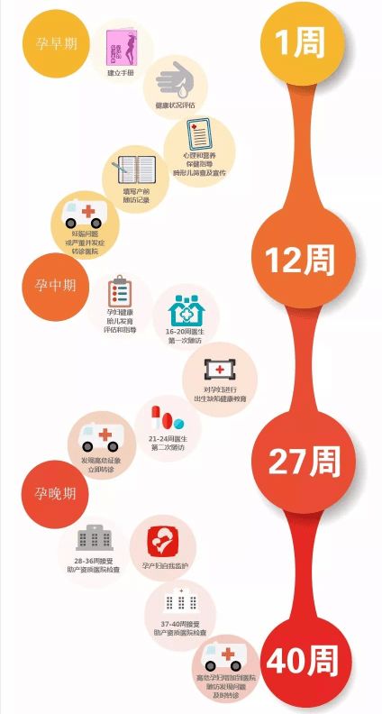 免費 孕產婦健康管理服務的幾個階段,你知道嗎